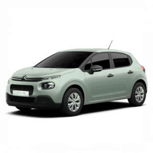 Выкуп новых запчастей Citroen Citroen C3