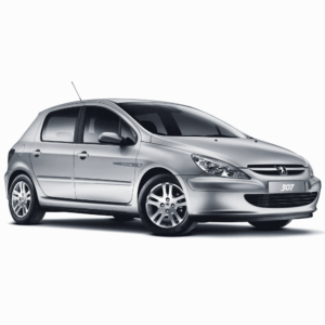 Выкуп Б/У запчастей Peugeot Peugeot 307