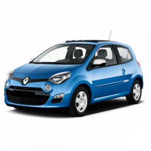 Выкуп глушителей Renault Renault Twingo